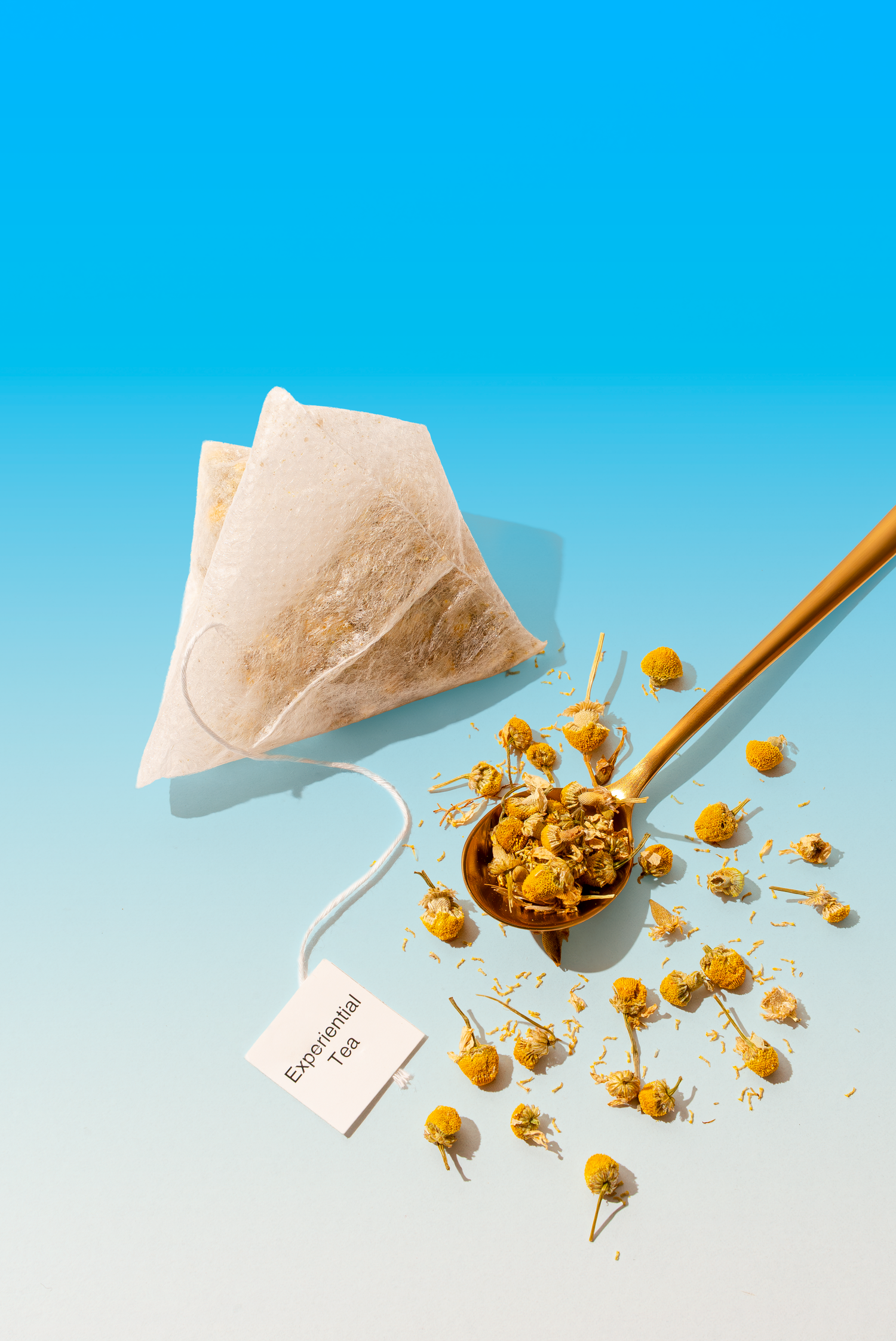 Bio Degradable Pyramid Tea Bags