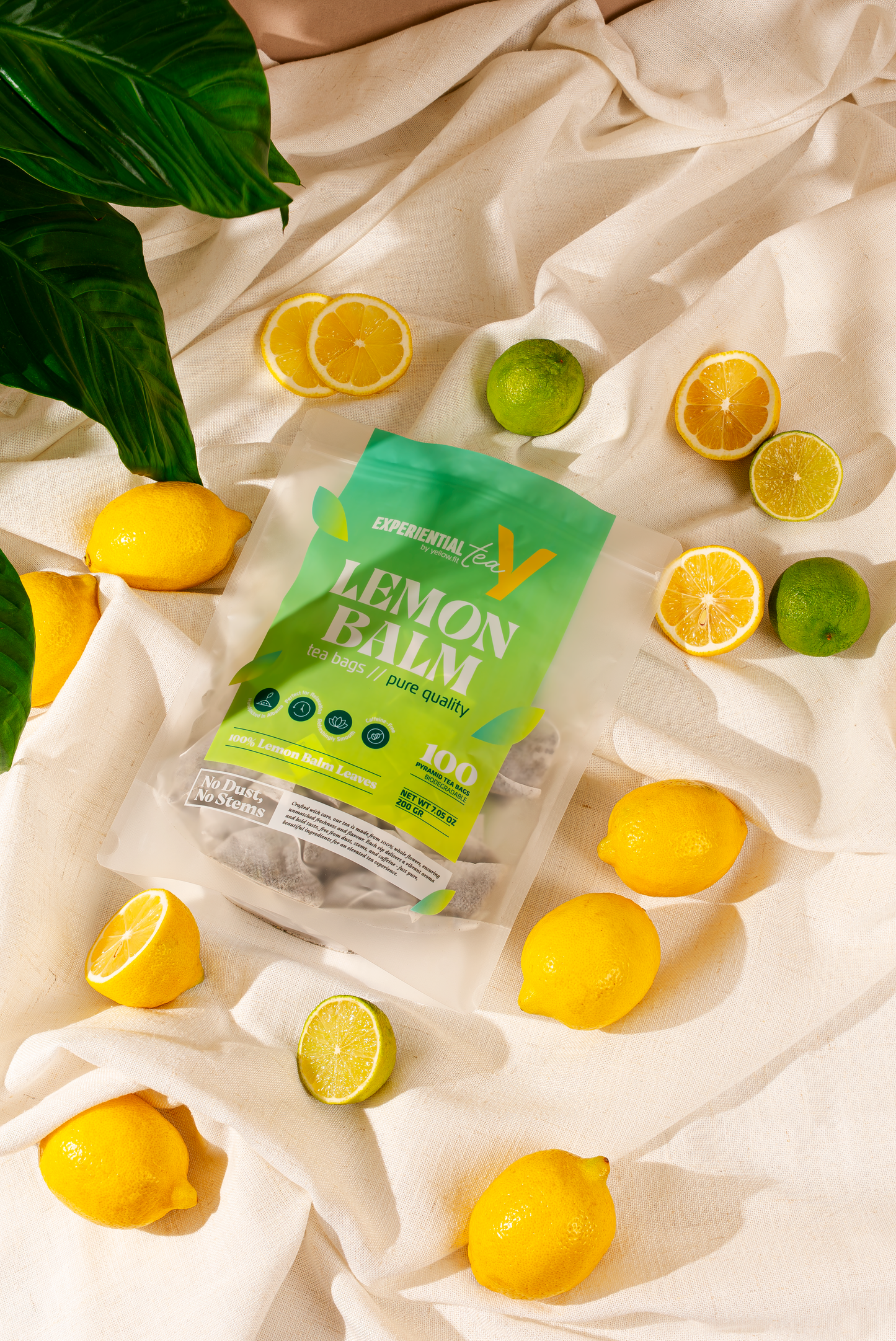 Lemon Balm